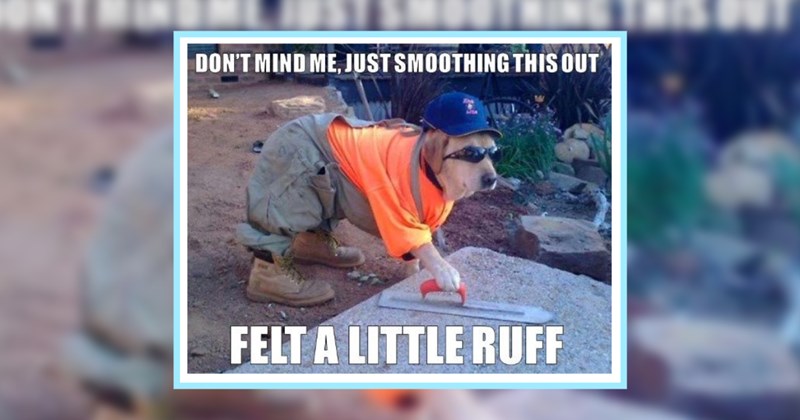 23 Funny Pupper Posts fur Furgetting Frustrations of your Work Life | thumbnail includes one image which shows a dog dressed in work pants work boots high vis top sunglasses baseball cap holding a trowel over concrete ‘DON’T MIND ME, JUST SMOOTHING THIS OUT’ ‘FELT A LITTLE RUFF’