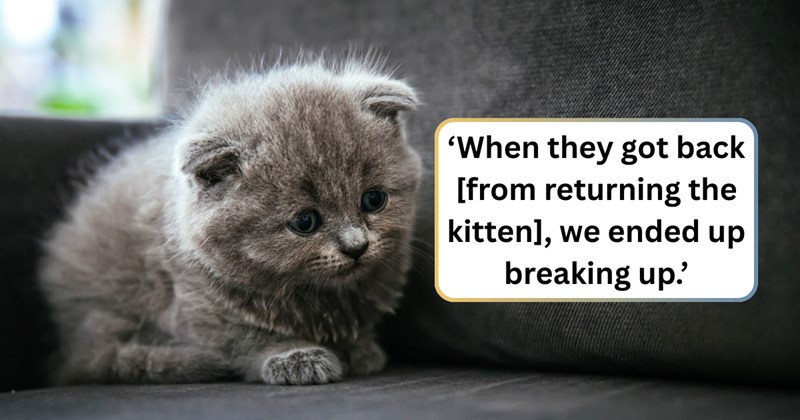37 text pictures, 3 kitten pictures, 2 women pictures | thumbnail includes one picture of a kitten, and ‘When they got back [from returning the kitten], we ended up breaking up.’