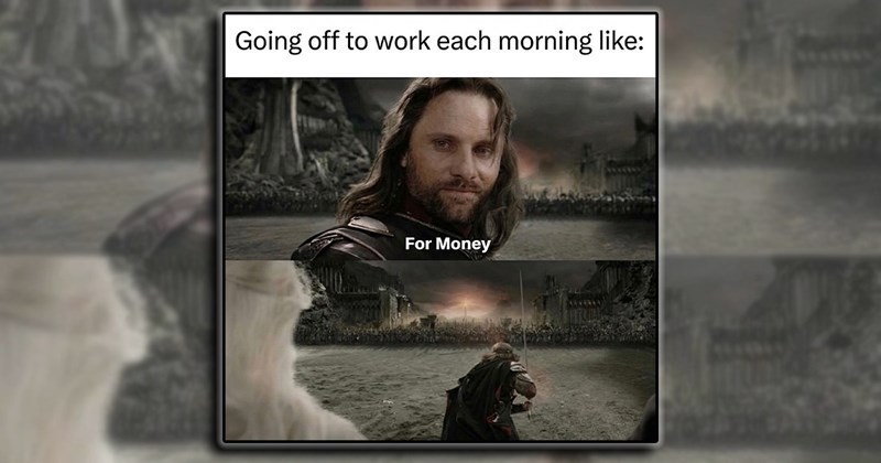 humor everyday memes jokes Memes employees lol funniest comedy workplace laughing funny Funny Memes - 44746757