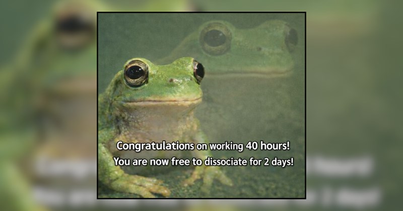 22 Understanding Pets For When You Are Going Through It