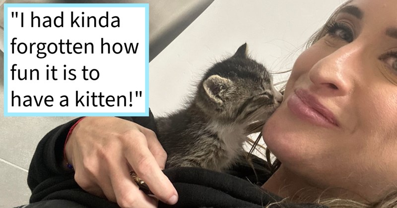 Month old kitten rescued from freeway shoulder by driver who saw running for life, after approval from vet, brought home live out its days as an: ‘Adorable bunny soft feral demon kitten.’ | thumbnail includes one image which shows a woman smiling holding a gray kitten to her chest who is giving her a kiss ‘“I had kinda forgotten how fun it is to have a kitten!”