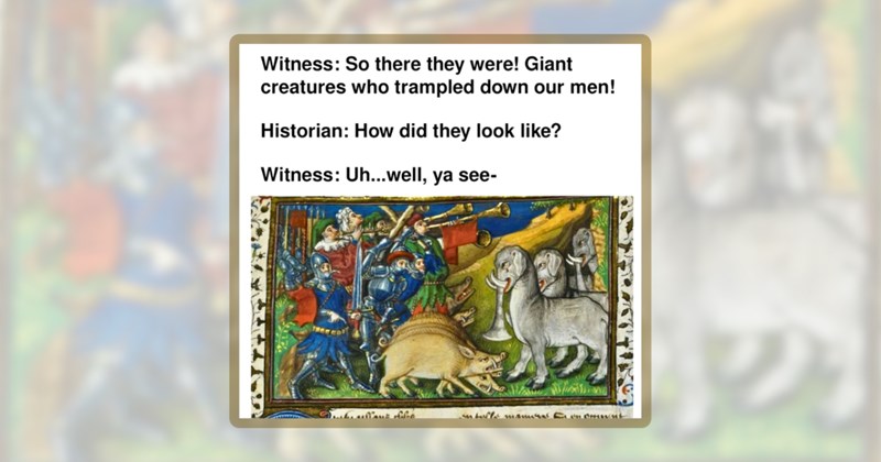 20 medieval animal memes | thumbnail includes one meme including 'Witness: So there they were! Giant creatures who trampled down our men! Historian: How did they look like? Witness: Uh...well, ya see-'