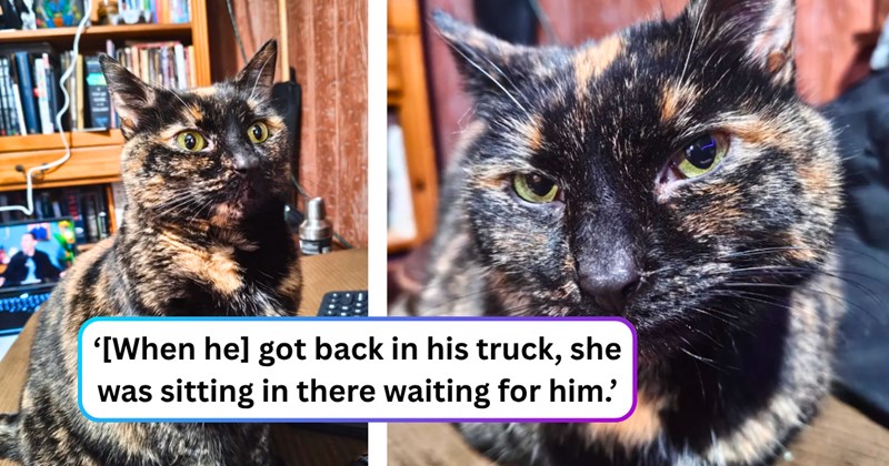 15 text pictures, 5 cat pictures | thumbnail includes two pictures of a cat, and ‘[When he] got back in his truck, she was sitting in there waiting for him.’