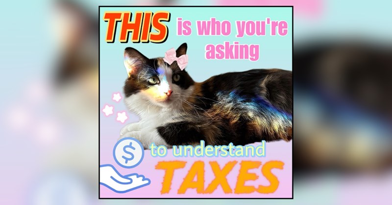 21 cat memes | thumbnail includes one meme and one picture of text including 'This is who you're asking to understand taxes' 