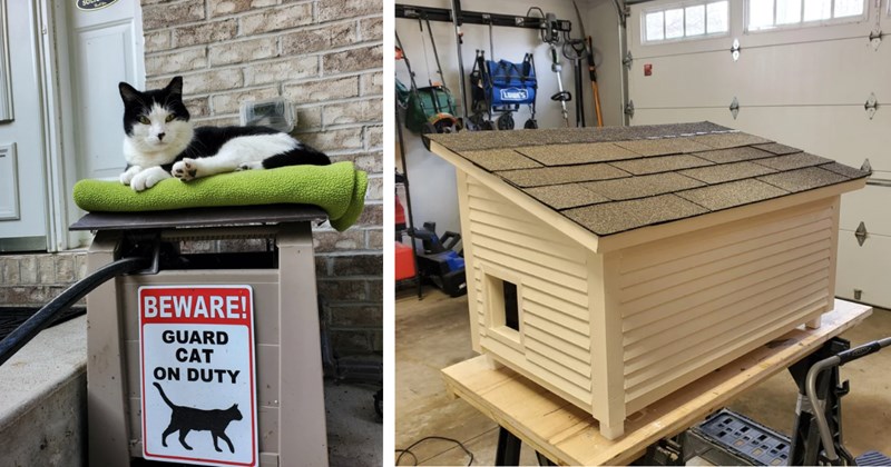 Story and pictures of building an outdoor cat house from scratch | Thumbnail includes one picture of a cat outside including 'BEWARE! GUARD CAT ON DUTY', and one picture of a cat house