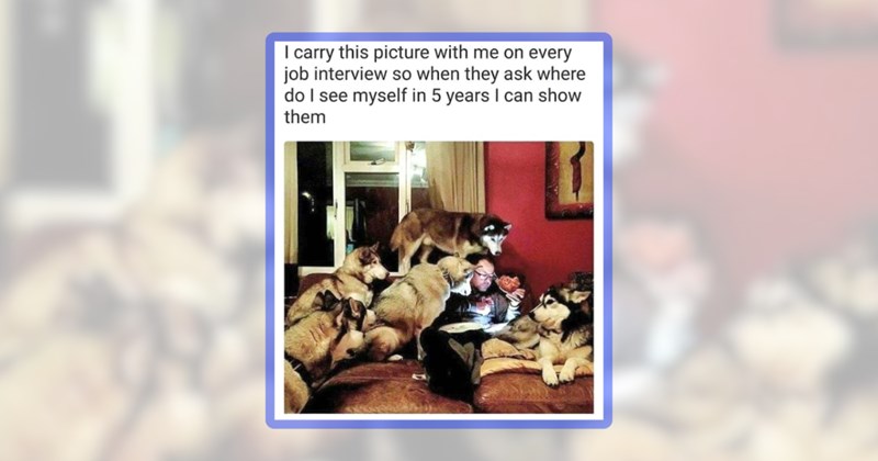 23 husky memes | thumbnail includes one meme including 'I carry this picture with me on every job interview so when they ask where do I see myself in 5 years I can show them'