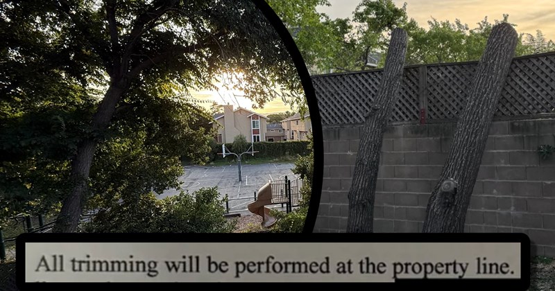 hoa neighbors trees tree law homeowner homeownership Bad Neighbor Neighbors - 44798469