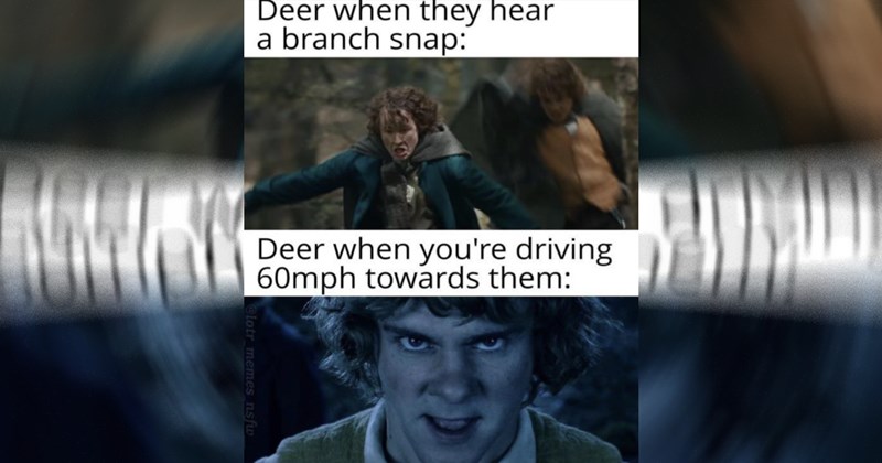 Tolkien Tuesday: The Best Lord of the Rings Memes This Week