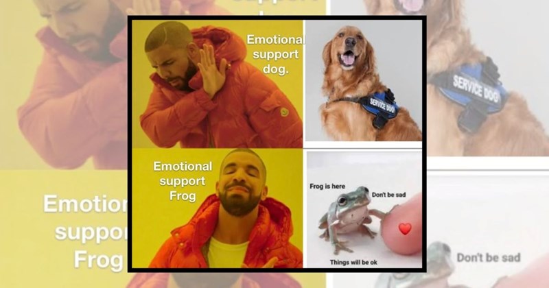 sensitive relatable memes funny memes emotional-support-memes emotional-support Funny Memes - 44809221