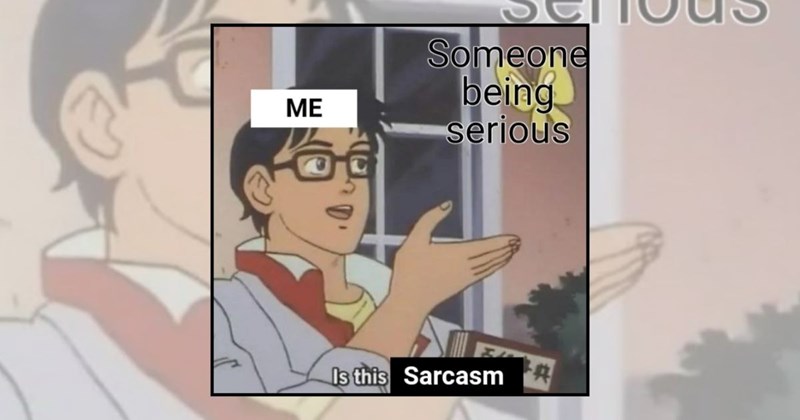 funny random memes relatable memes random memes sarcastic funny memes sarcasm Funny Memes - 44810501