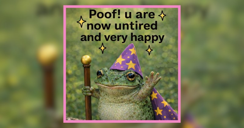 28 Pets Keen on Watching Harry Potter This Weekend 