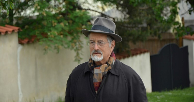 house neighborhood-stories hoa drama Bad Neighbor Cats funny Homeowner - 44828677