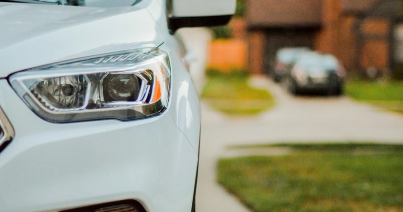 Cheezburger Image 44836101