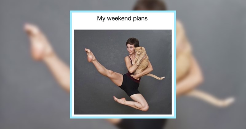 23 Fresh Feline Funnies More Addictive Basket Breadsticks | thumbnail includes one image which shows a woman in an ariel dance move pose holding an orange cat in her arms ‘My weekend plans’
