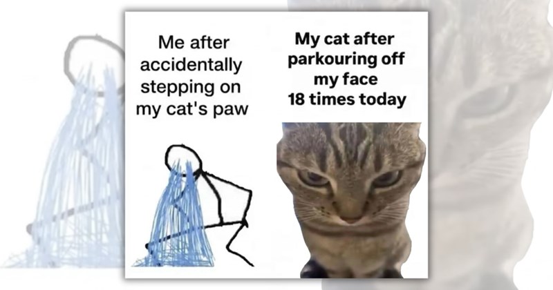 26 cat memes | Thumbnail includes one meme including 'Me after accidentally stepping on my cat's paw My cat after parkouring off my face 18 times today'