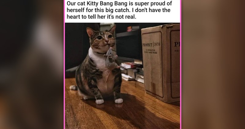 funny and cute cat memes | thumbnail includes one meme of a cat carrying a toy mouse 'Our cat Kitty Bang Bang is super proud of herself for this big catch. I don't have the heart to tell her it's not real. PROSPECT 1870 PE GESERATION 5th'