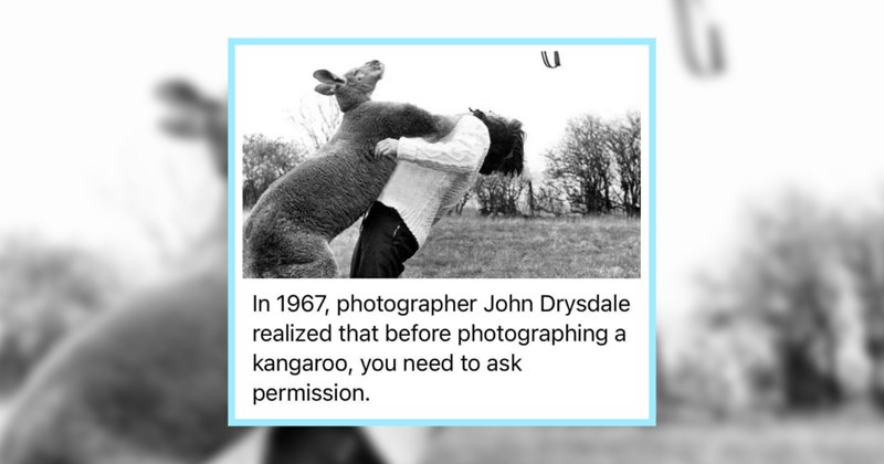 22 Wild Animal Memes Full Wacky Weird Animal Antics | thumbnail includes one image which shows a kangaroo hugging a man ‘In 1967, photographer John Drysdale realized that before photographing a kangaroo, you need to ask permission.’