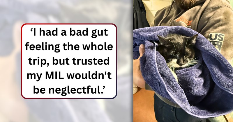 41 text pictures, 3 cat pictures | thumbnail includes one picture of a cat, and ‘I had a bad gut feeling the whole trip, but trusted my MIL wouldn't be neglectful.’