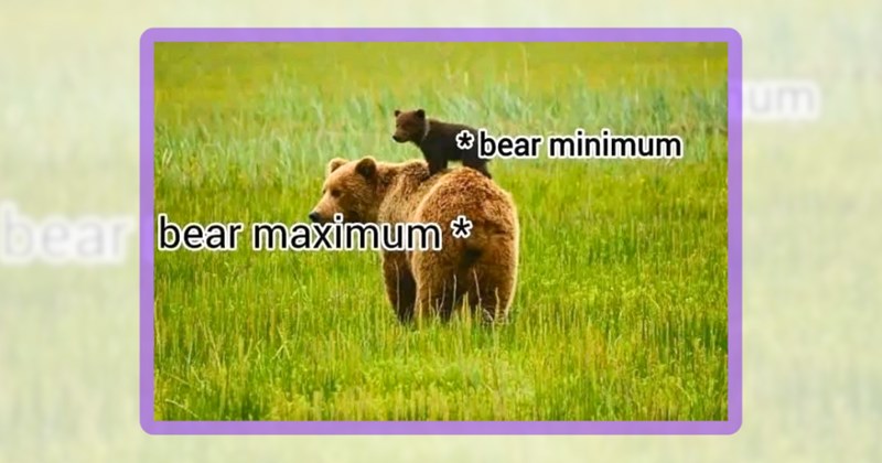 24 bear memes | thumbnail includes one meme including '*bear minimum bear maximum *'