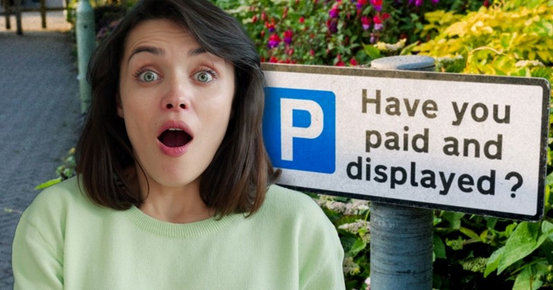 parking drama neighborhood-drama cars petty revenge parking entitled people Neighbors - 44886789