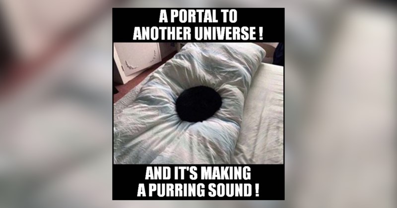 21 cat memes | thumbnail includes one meme and one picture of text including 'A PORTAL TO ANOTHER UNIVERSE! AND IT'S MAKING A PURRING SOUND!' 