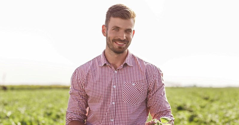 landowner united kingdom dogs neighbors parks kids england legal homeowner Neighbors - 44896773