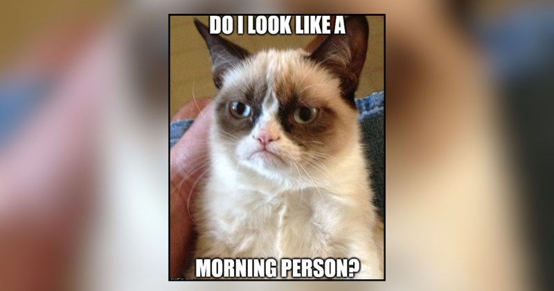 21 cat memes | thumbnail includes one meme and one picture of text including 'DO I LOOK LIKE A MORNING PERSON?' 