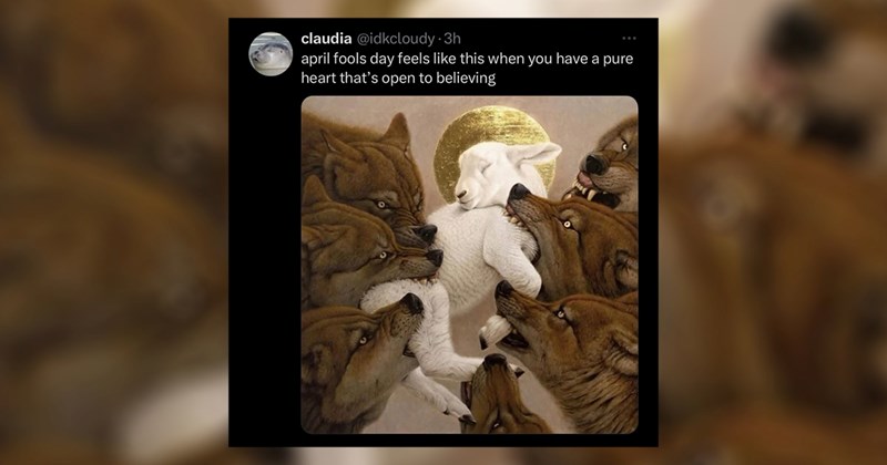 funny random memes work memes random memes silly memes funny memes Memes twitter memes meme animal memes funny Funny Memes - 44906757