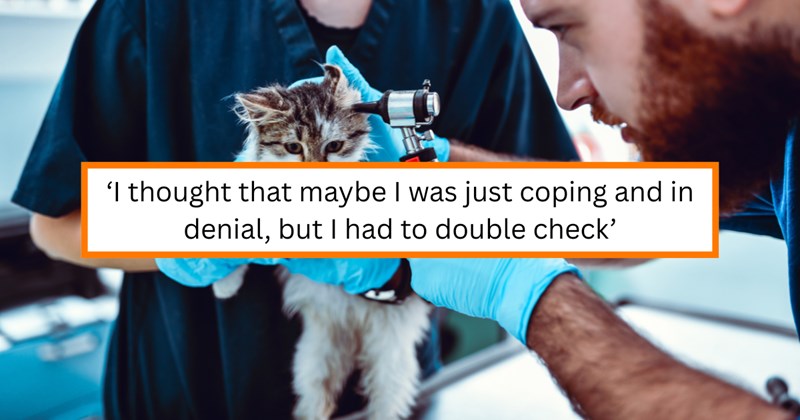 Story of a cat owner using chatGPT to save his cat's life | Thumbnail includes one picture of Vets Checking Cat's Ear Health and one picture of text including '‘I thought that maybe I was just coping and in denial, but I had to double check’'