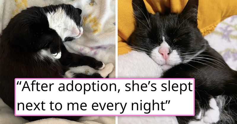 story about an unsocial cat that was returned to the shelter getting adopted and turning out to be a cuddlebug | thumbnail includes two pictures of a cute tuxedo cat 'After adoption, she’s slept next to me every night'