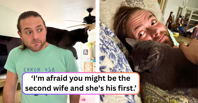 20 text pictures, 5 man and cat pictures, 1 cat picture | thumbnail includes two pictures of a man and a cat, and ‘I'm afraid you might be the second wife and she's his first.’