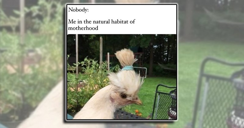 funny parenting memes