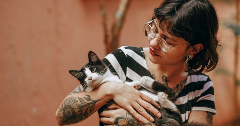 Relationships cat pets adulting is hard adulting household friends moving in together life lessons adulthood boundaries roommates moving out - 44956421