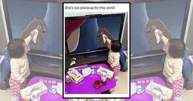 humor wholesome hilarious relatable memes relatable funny memes cute Memes whimsical wholesome memes funny Funny Memes - 44961541