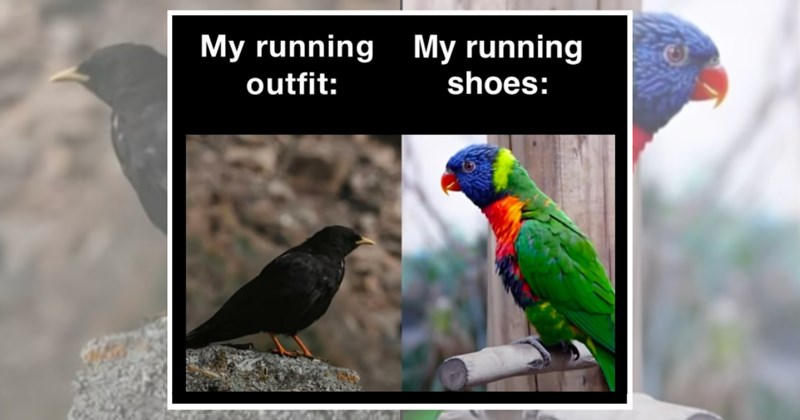 humor wholesome hilarious relatable memes relatable run funny memes Memes running marathon funny Funny Memes - 44976389