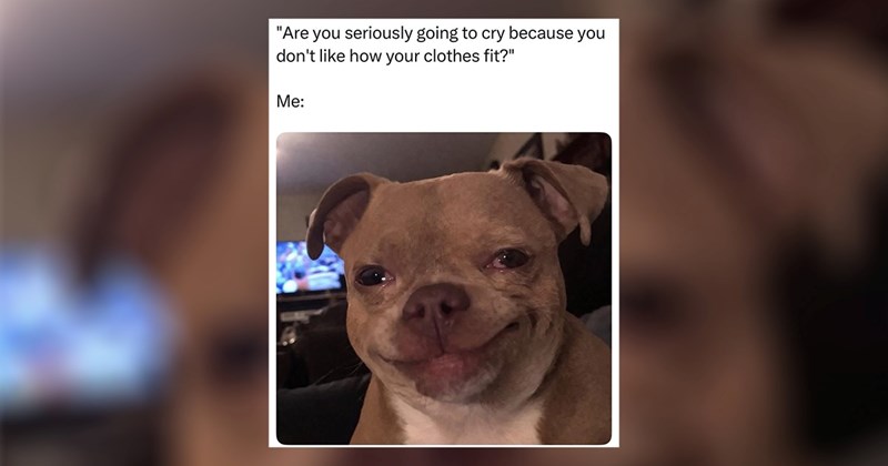 relatable memes work memes random memes silly memes funny memes dank memes Memes twitter memes meme funny tweets funny Funny Memes - 44983301