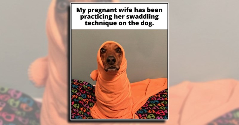 Family humor parenthood fatherhood motherhood parenting dad family mom parents - 44991493