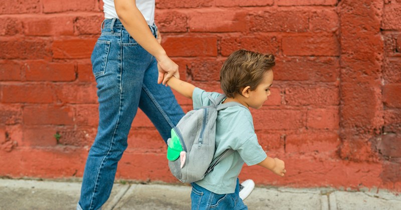 neighbors lawn Neighbors - 44992005