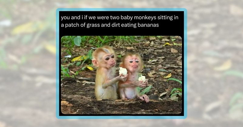21 monkey memes | thumbnail includes one meme including 'you and i if we were two baby monkeys sitting in a patch of grass and dirt eating bananas'