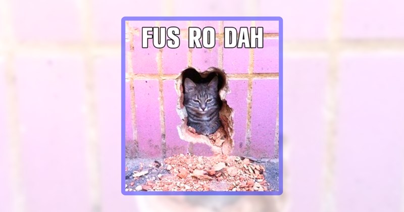 22 khajiit memes | thumbnail includes one meme including 'FUS RO DAH'