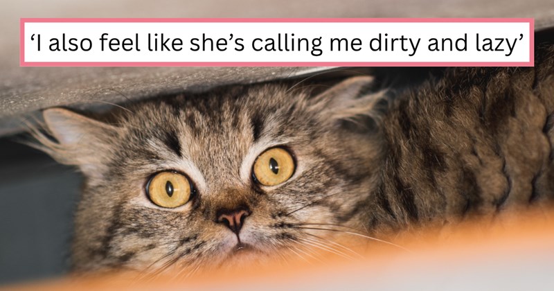 Story of two cat owner roommates not getting along | Thumbnail includes one picture of a frightened cat and one picture of text including ''I also feel like she's calling me dirty and lazy''
