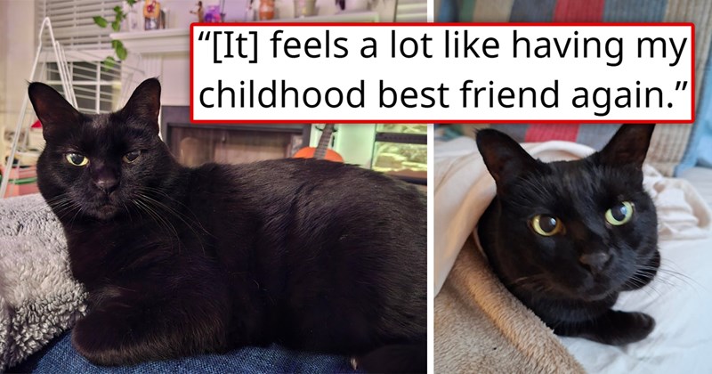story about a woman adopting a black cat and bonding with it the same way she bonded with her childhood dog | thumbnail includes two pictures of a cute black cat 'It feels a lot like having my childhood best friend again'