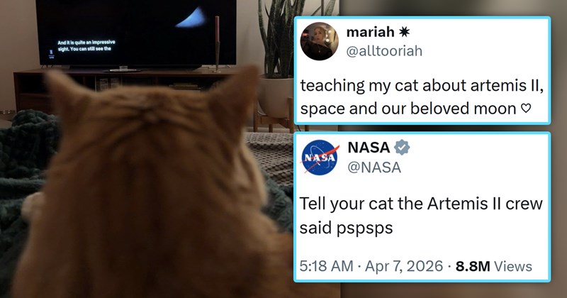 funniest cat tweets of the week | thumbnail includes one picture of a cat watching TV and two tweets 'mariah alltooriah teaching my cat about artemis II, space and our beloved moon And is quite an impressive sight can still see' and 'NASA NASA @NASA Tell your cat the Artemis II crew said pspsps • 5:18 AM Apr 7, 2026 · 8.8M Views 841 22K 240K'
