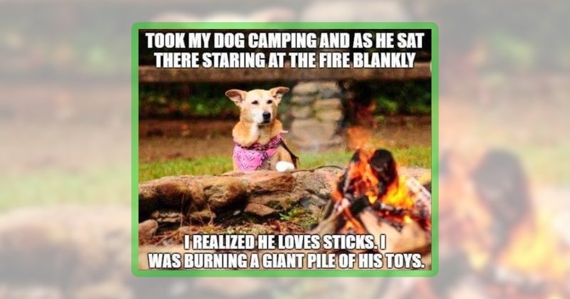 27 dog memes | thumbnail includes one meme including 'TOOK MY DOG CAMPING AND AS HE SAT THERE STARING AT THE FIRE BLANKLY I REALIZED HE LOVES STICKS. WAS BURNING A GIANT PILE OF HIS TOYS.'