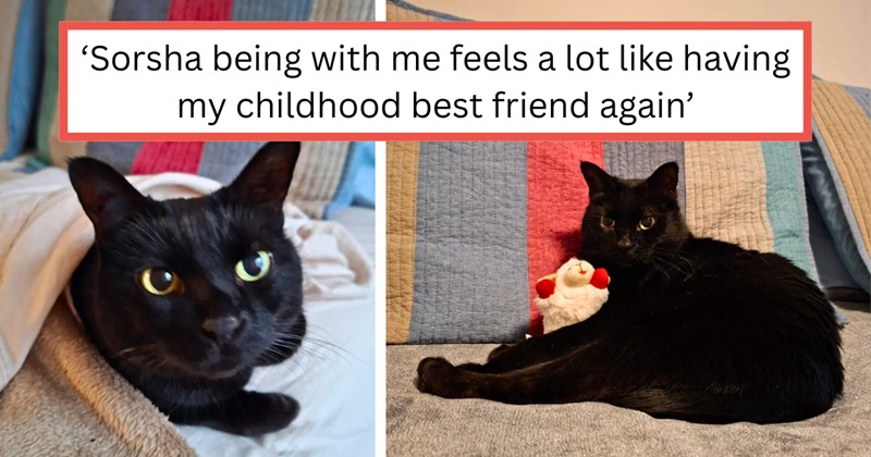 Story of animal lover adopting a senior black cat | Thumbnail includes two pictures of a black cat on a colorful quilt, and one picture of text including '‘Sorsha being with me feels a lot like having my childhood best friend again’'