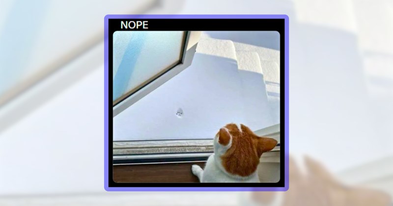 23 cat memes | thumbnail includes one meme including 'NOPE'