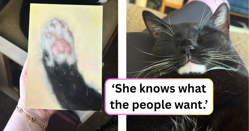 18 text pictures, 3 cat and text pictures, 1 cat picture, 4 painting pictures | thumbnail includes one cat picture, one painting picture, and ‘She knows what the people want.’