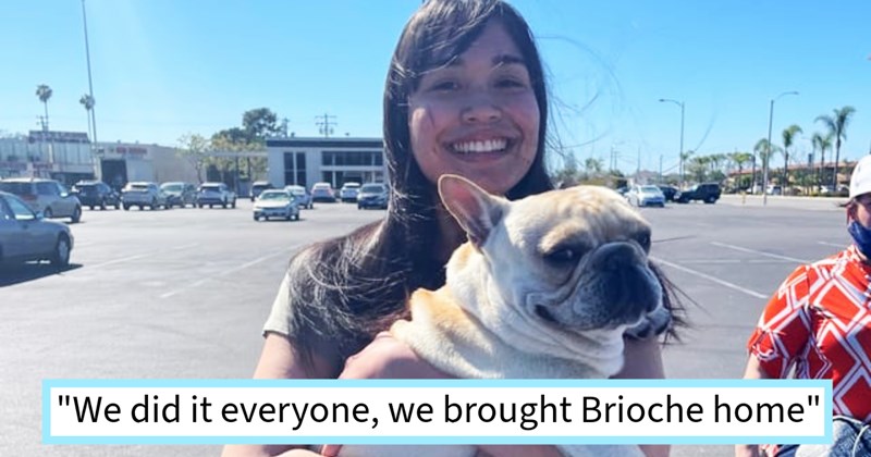 French Bulldog stolen homeless found picked up park dog pawrent after thief couldn’t sell dog, resulting heartwarming reunion pupper’s petrified mom, says: ‘There are no words to describe how grateful I am Brioche is home again.’ | thumbnail includes one image which shows a smiling woman in parking lot holding white french bulldog in arms ‘“We did it everyone, we brought Brioche home”’