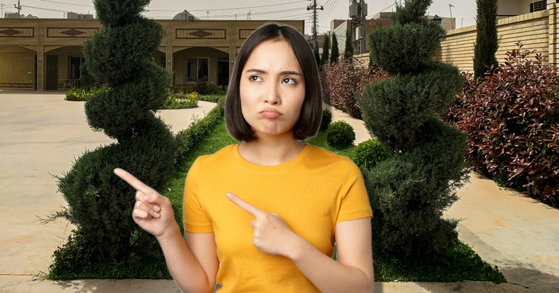 house homeowner tree Homeowner - 45033989