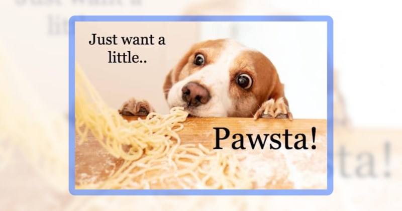 25 dog memes | thumbnail includes one meme including 'Just want a little.. Pawsta!'